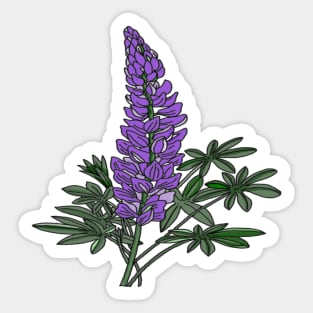 Lupine Flowers Sticker